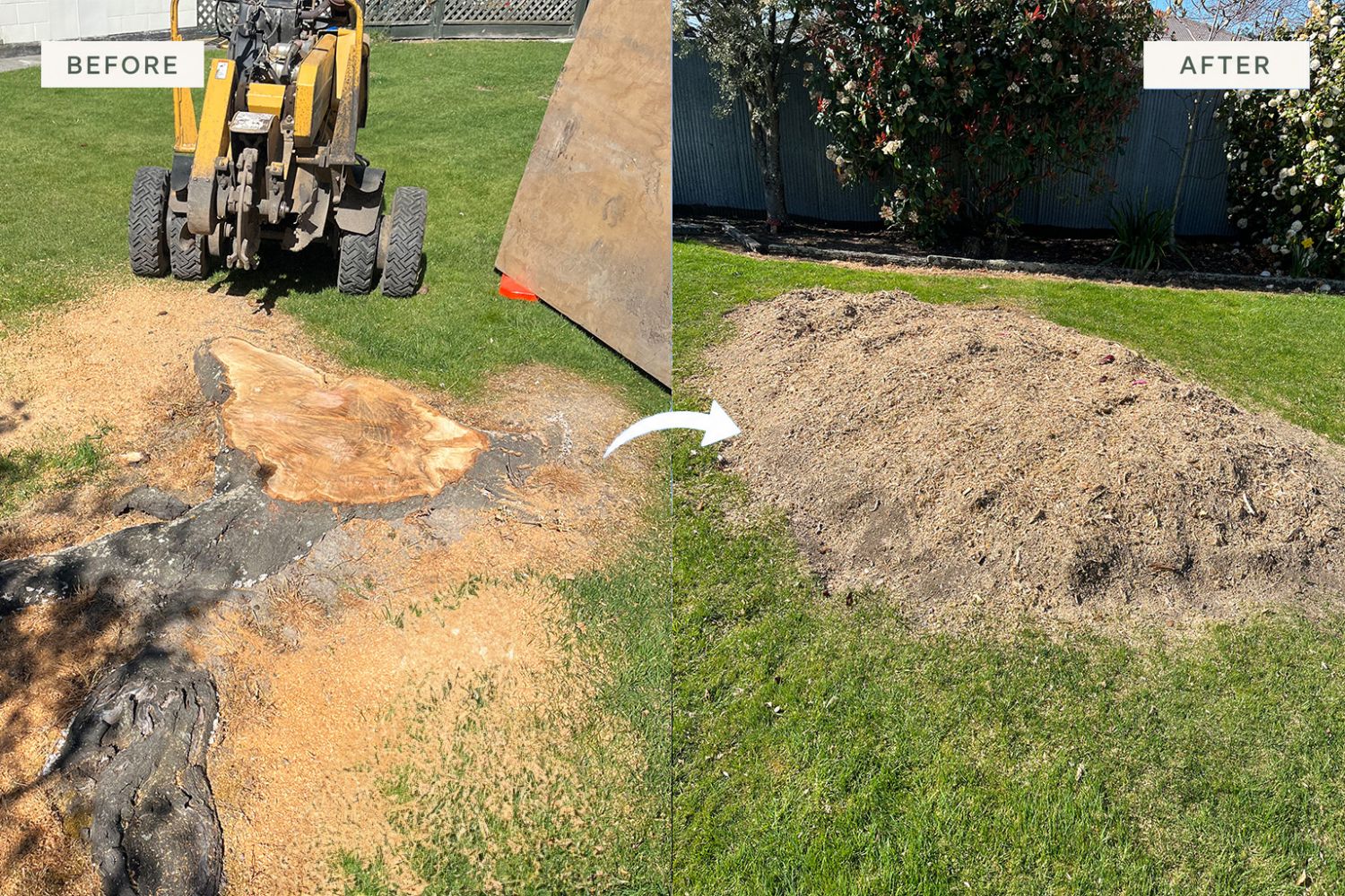 Stump grinder removing a large tree stump from a residential property.