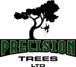 Precision Trees